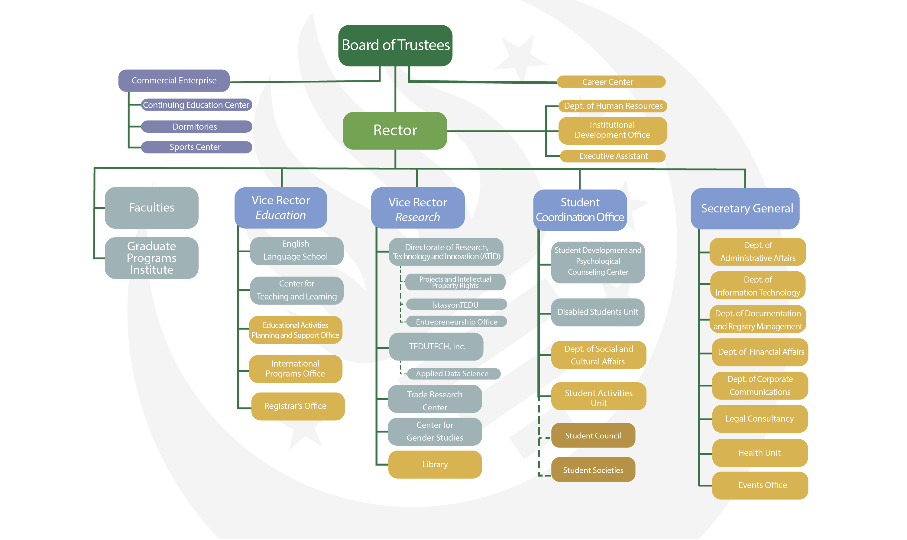 TEDU Organization Chart