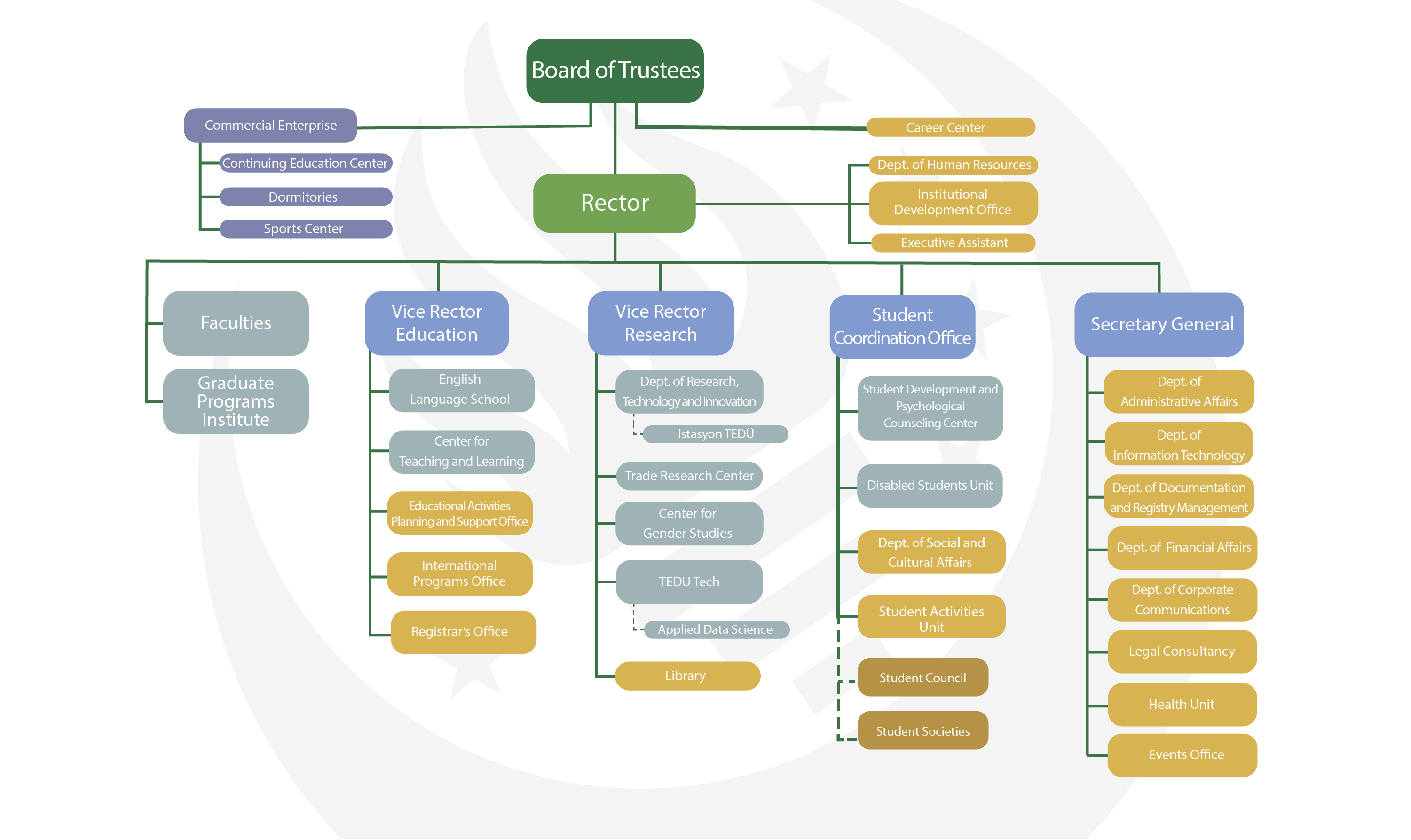 Organization Chart TEDU