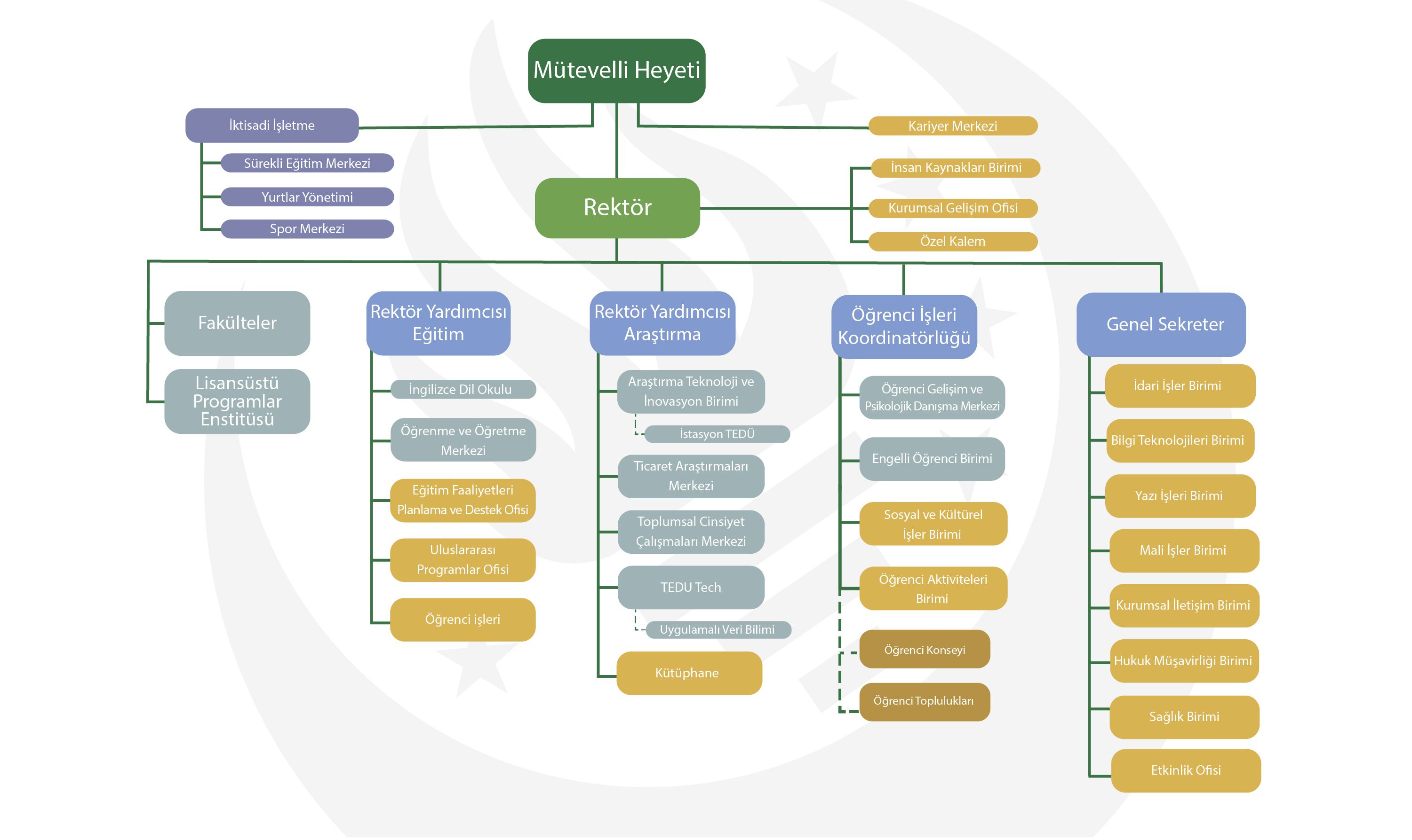TED ÜNİVERSİTESİ ORGANİZASYON ŞEMASI