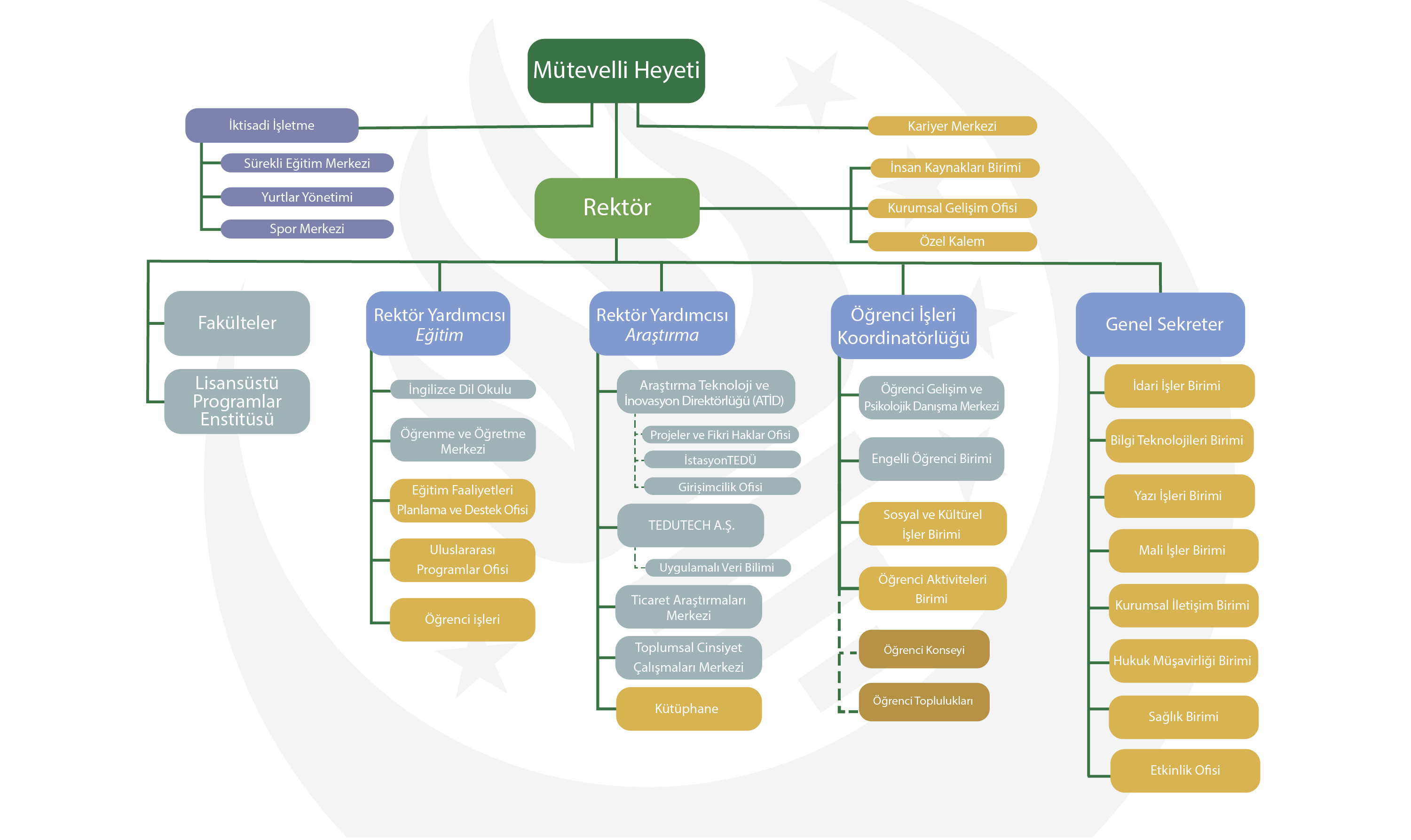 TED ÜNİVERSİTESİ ORGANİZASYON ŞEMASI