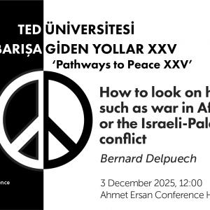 barisagidenyollarxxv