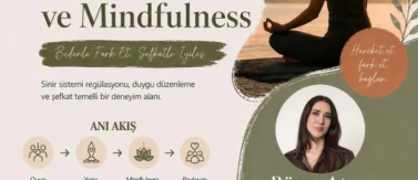 Travma Bilgili Hareket ve Mindfulness Atölyesi