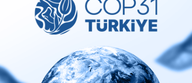 cop31