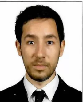 mert gökçen gültekin
