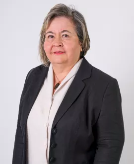 Profile image for Aylin Budak Gelen
